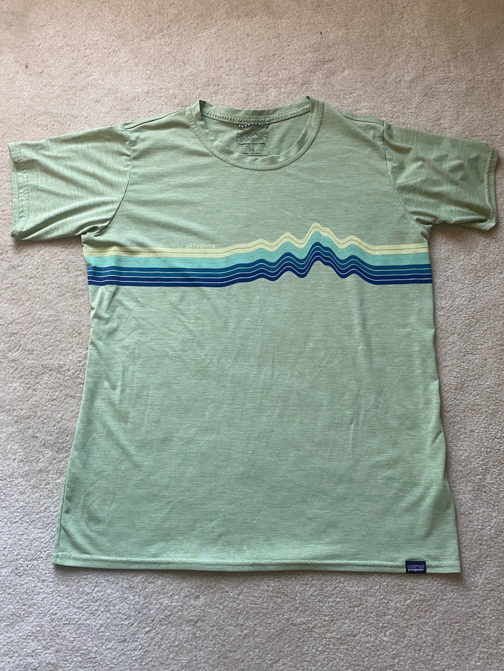 Patagonia Capilene Cool Daily Mens Size Medium Short Sleeve Green Graphic Tshirt